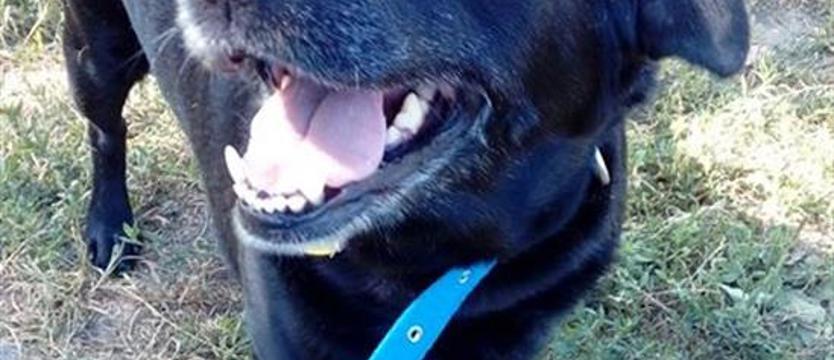 Daj sobie szansę na Azę