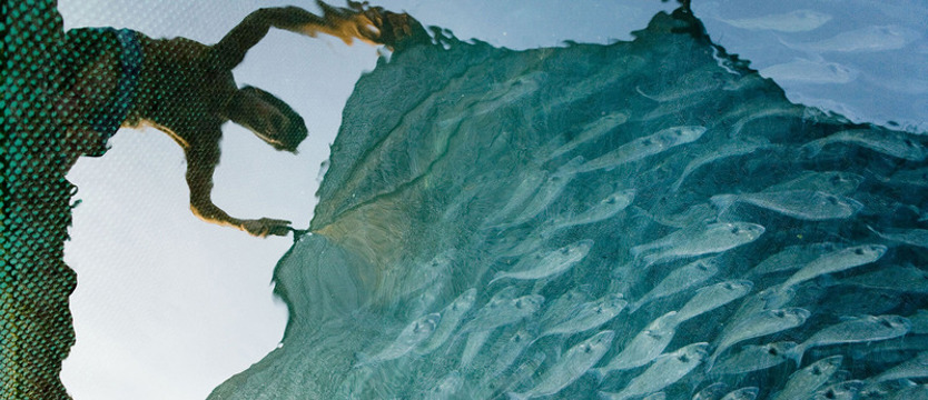 Dzień Zależności od Ryb