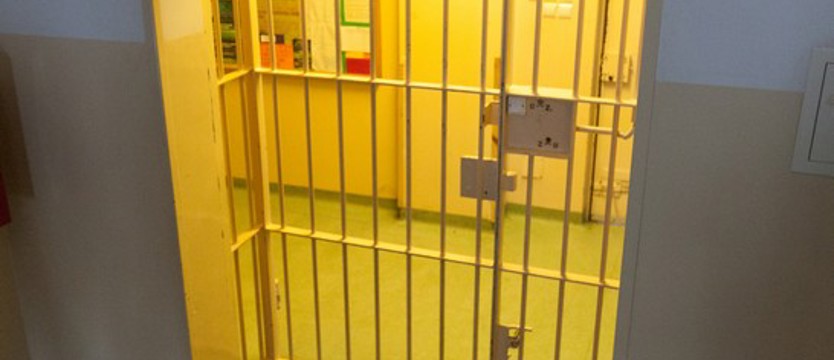 Dłuższy areszt dla podejrzanego o pobicie małego dziecka