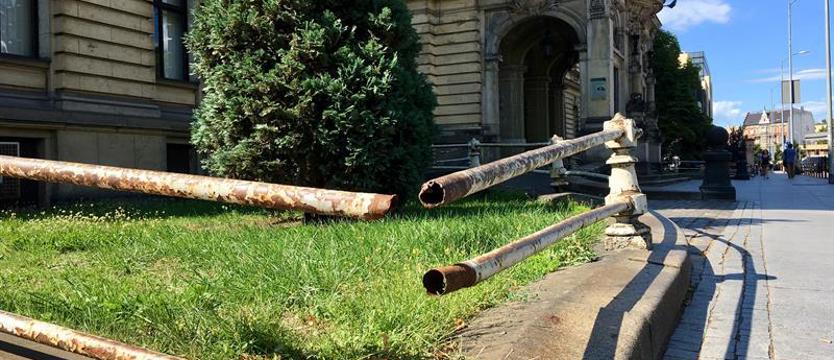 Nie tylko drzewa umierają stojąc