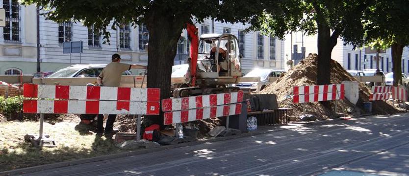 Wykopki w alei kwiatowej