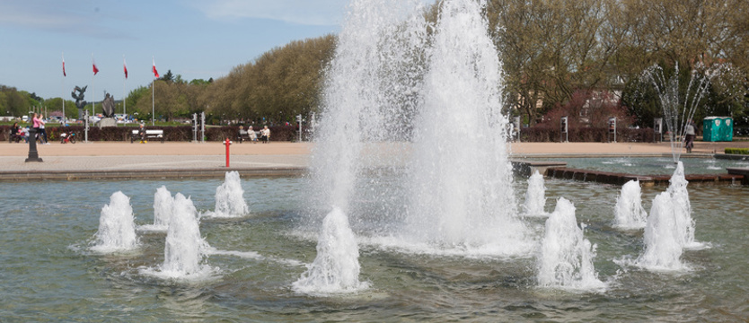 Piknik z okazji wojskowego święta