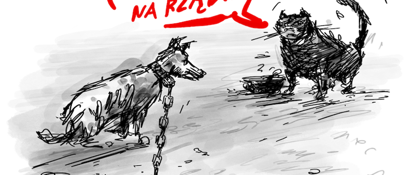 Bez komentarza (125)