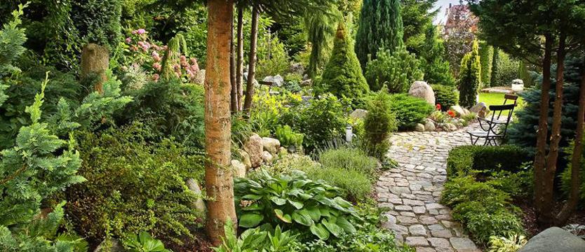 Rywalizacja o nagrodę publiczności – na ostatniej prostej