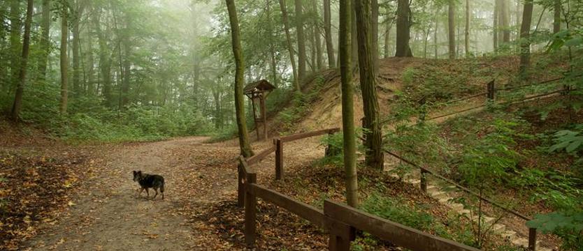 Trekking dla dorosłych!