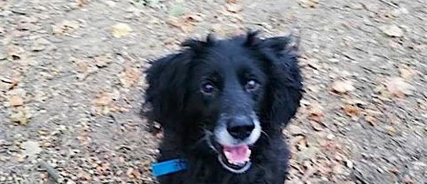 Ami, czyli życie po życiu