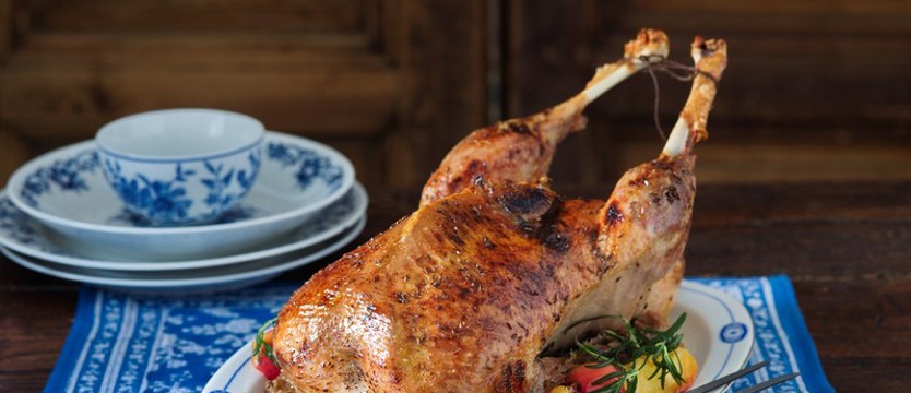 Czechy w dzień Świętego Marcina