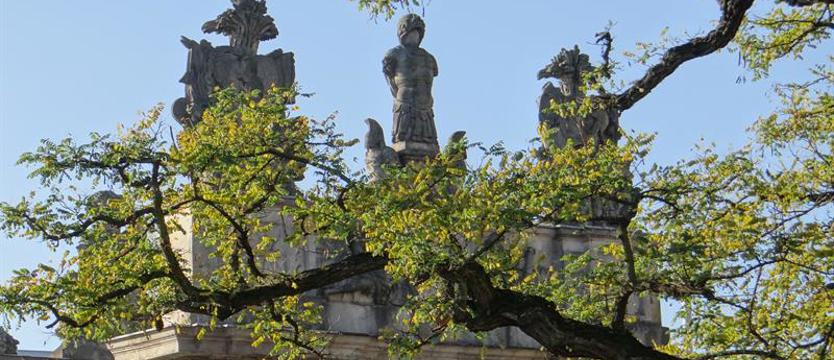 Społeczna Straż Ochrony Zieleni Szczecina. Kto chętny?