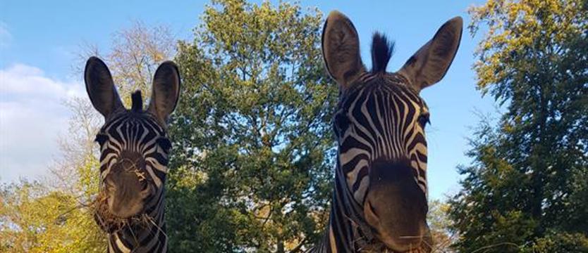 Przysyłajcie zdjęcia!