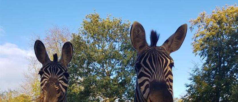 Schicken Sie Ihre Bilder!