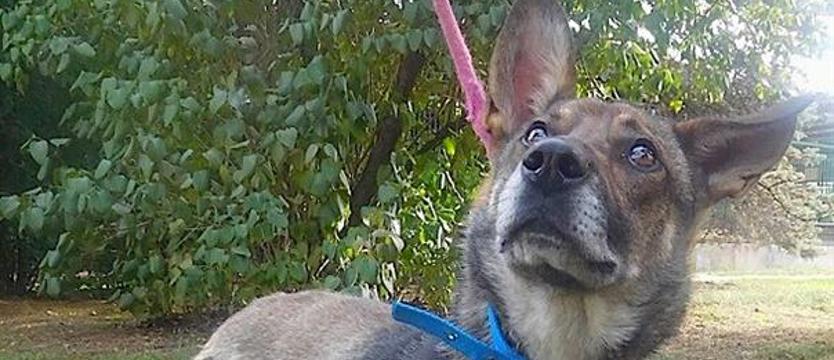 Bezpieczna przystań dla Fajtera