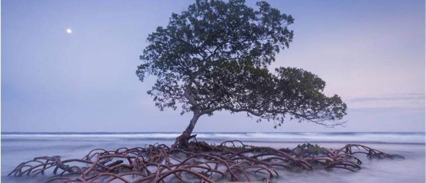 Odwiedź Szczecin (1)