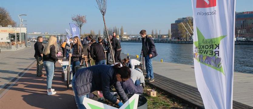 Sektor 3 podsumował rok. Wspierają i integrują