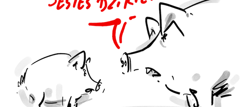 Bez komentarza (142)