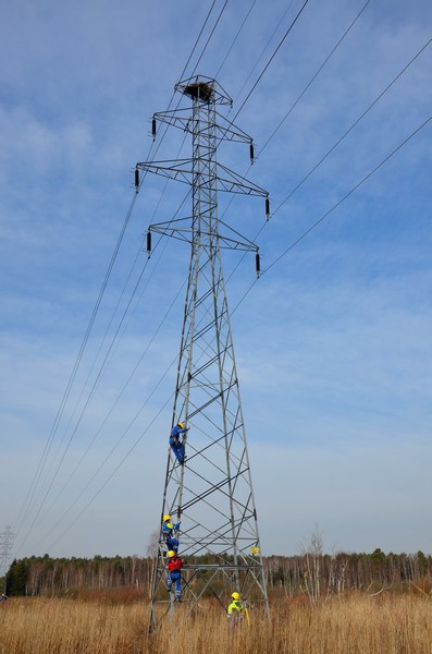 Lasy i energetycy w trosce o rybołowa