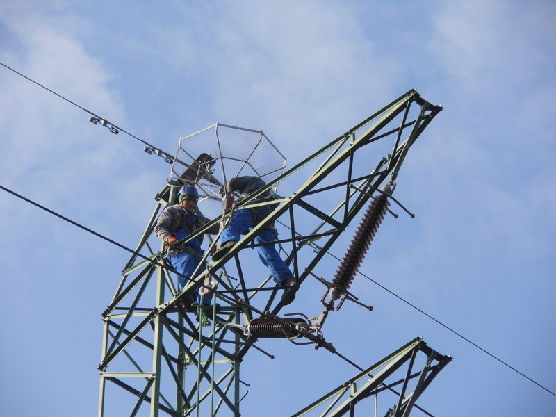 Lasy i energetycy w trosce o rybołowa