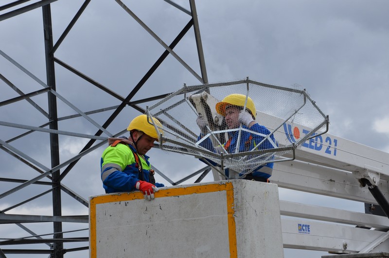 Lasy i energetycy w trosce o rybołowa