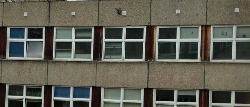 Uwięzili pisklęta za wentylacyjnymi kratkami