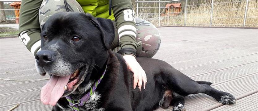 Sting od pierwszego wejrzenia