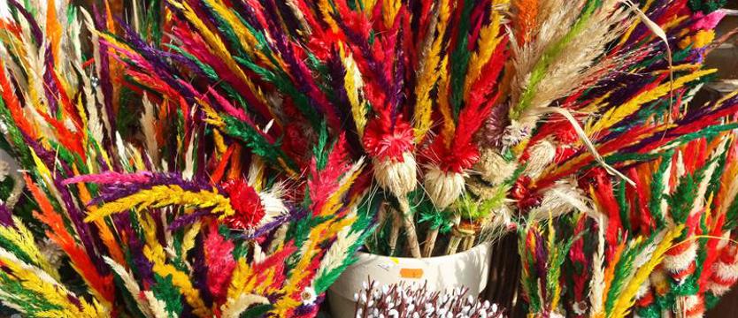 Czy palmowa jest handlowa?