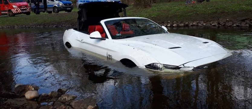 Fordem mustangiem do Dzierżęcinki