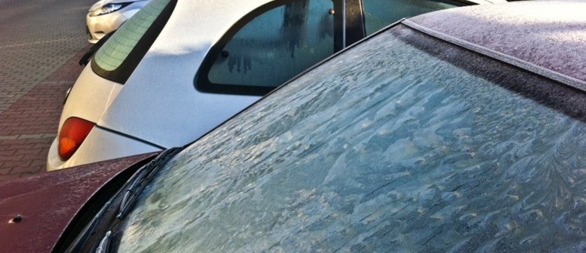 Uwaga! W nocy mogą wystąpić przymrozki