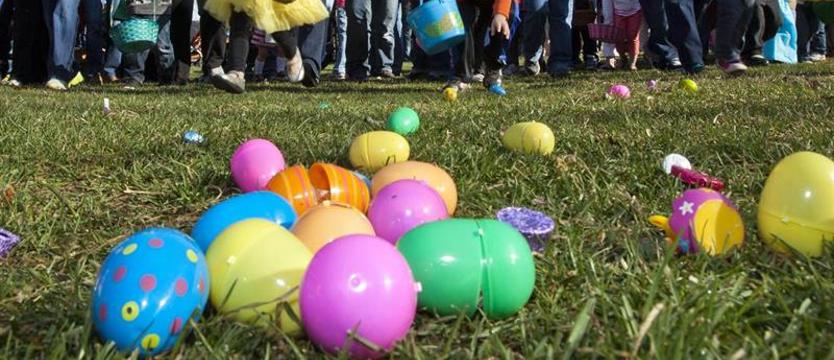 Polowanie na czekoladowe jajka