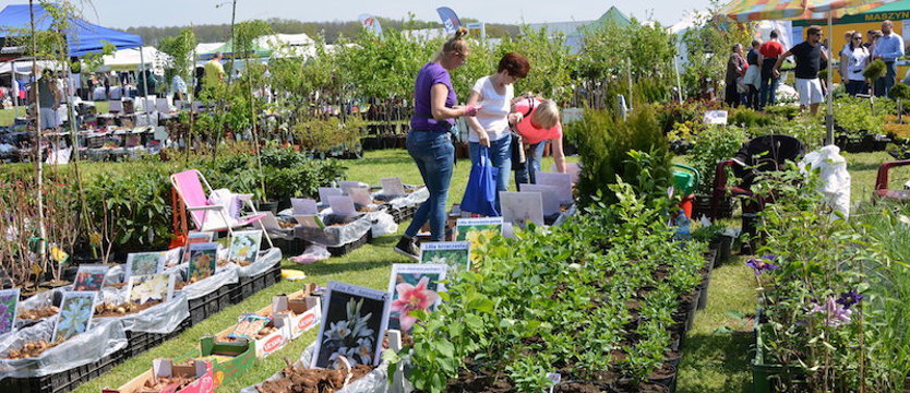 Weekend w regionie: 26 – 28 kwietnia