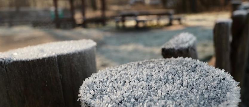 W nocy możliwe przymrozki