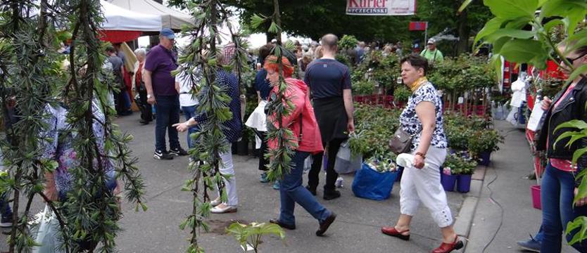 Majowe kwiaty i smaczki