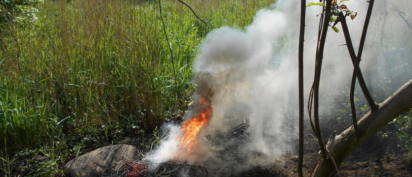 Wypalali kable. Dostali mandaty