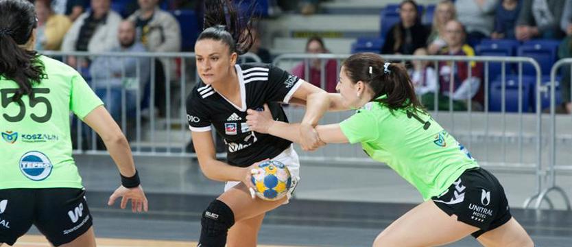 Pika ręczna. Pożegnalny występ w Szczecinie