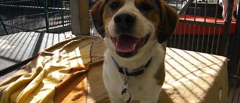 Marcelek – nie jak precelek