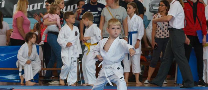 Karate. Samuraj w roli głównej