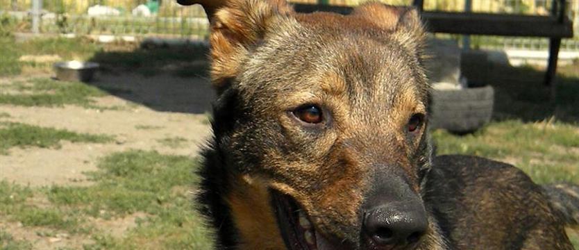 Niezwykły urok Fado