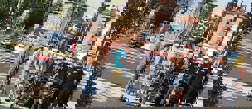 Stłuczki na szczecińskich ulicach