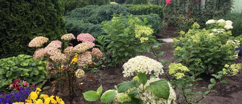 Cały Szczecin w kwiatach. Prezentacje czas zacząć