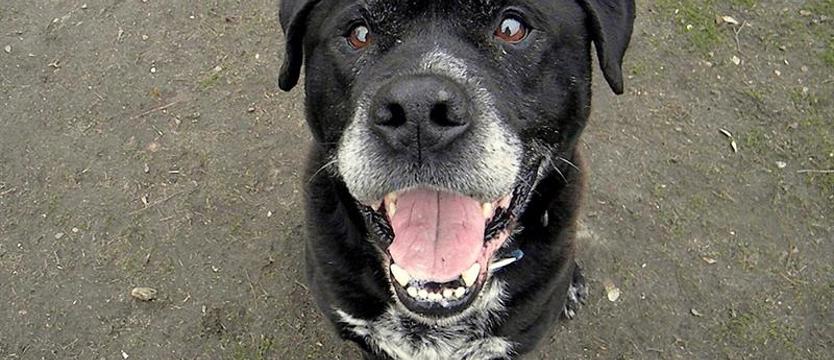 Sting dla przypomnienia