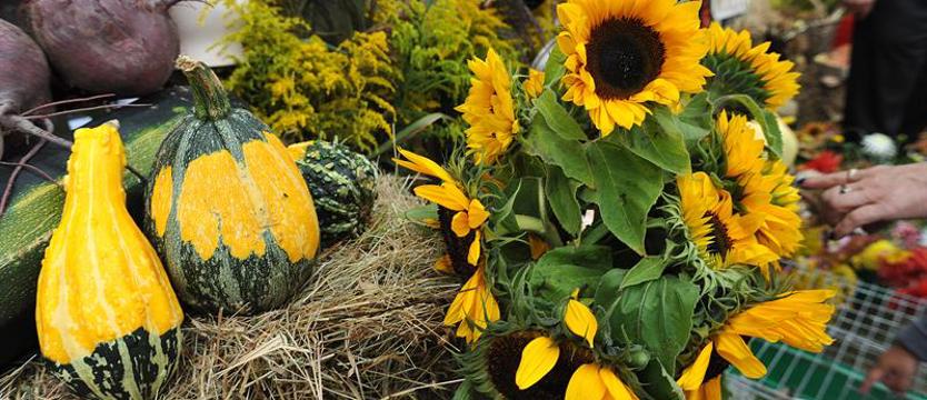 Najbardziej ekologiczne święto