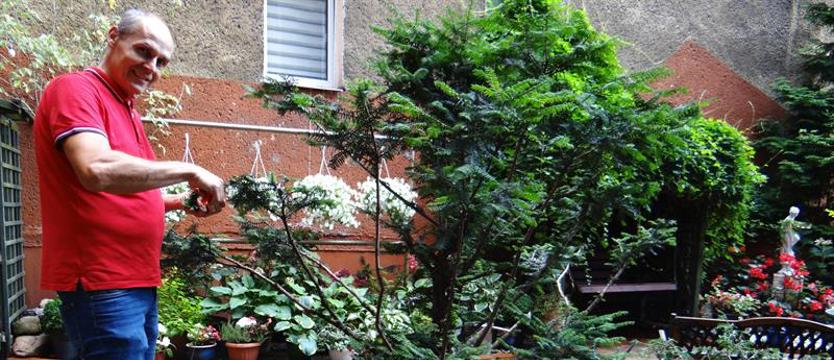 Cały Szczecin w kwiatach. Podwórze niczym oaza