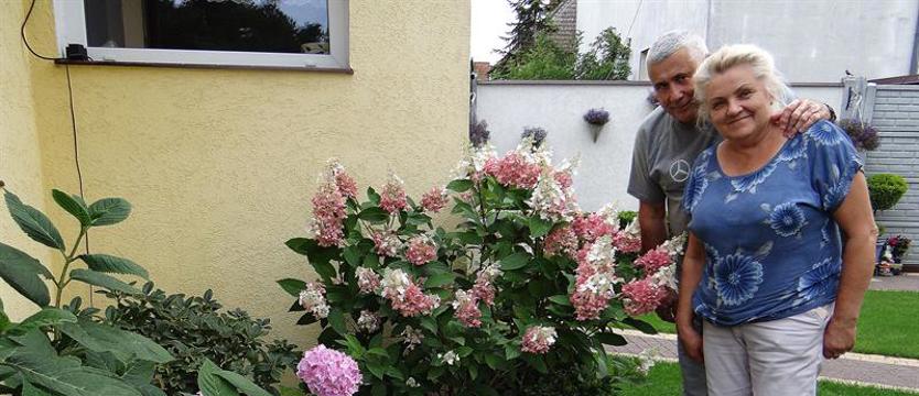 Cały Szczecin w kwiatach. W ogrodzie pod zegarem