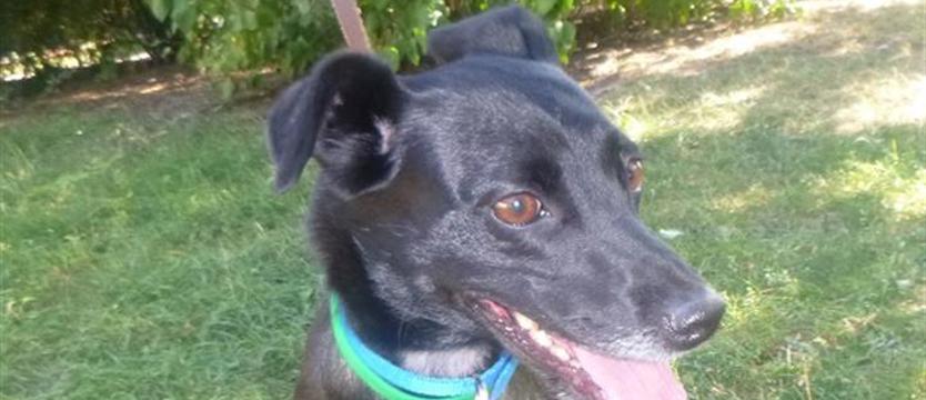 Mokka... nie tak miało być