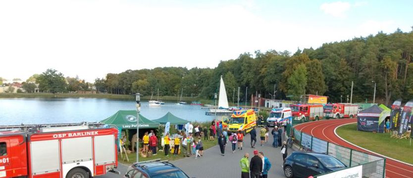 Szerszenie zaatakowały chodziarzy