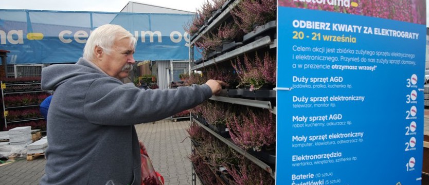 Wrzosy za elektrograty