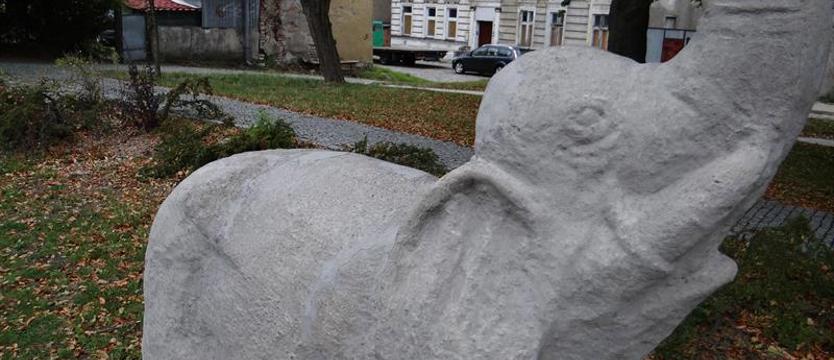 Słoń a budżet miasta