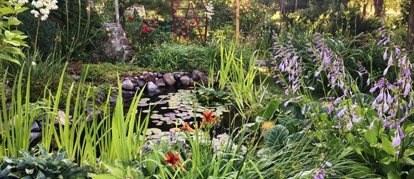 Cały Szczecin w kwiatach. Niedzielny finał, czyli czas zwycięzców