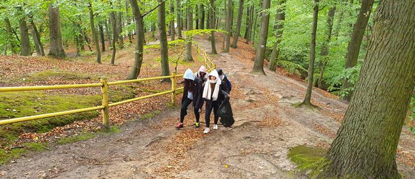 Jesienne porządki. Przystanek: Szmaragdowe