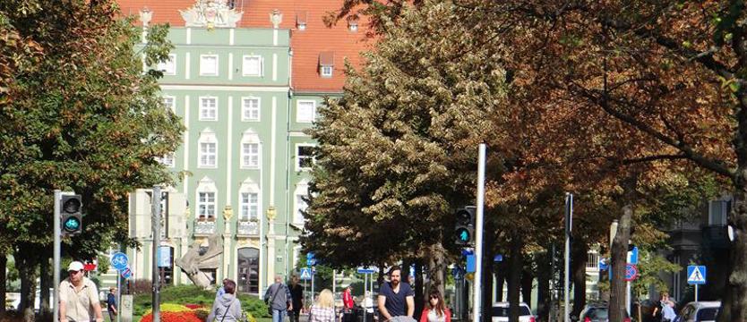 Nie tylko na Złotym Szlaku. Lipa z lipami