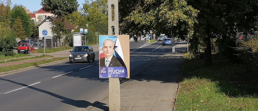 Plakaty Muchy tuż nad chodnikiem. A tak nie wolno