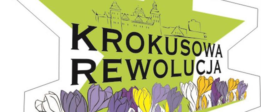 Krokusy już w sobotę